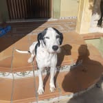 Enrique Pérez Morell - @enriqueperezmorell - Instagram