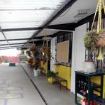 Albergue escolar "Enrique Corona Morfin" - Facebook
