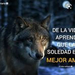Enrique Morfin Sanchez - Facebook