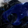 Enrique Morquecho - @enrique.morquecho0 - TikTok