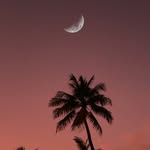 Enrique Mota - @enriquemota59 - Instagram