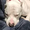 Enrique Mota - @enrique.mota4 - TikTok