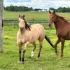 Enrique Mota - @enrique.mota56 - TikTok