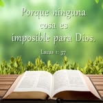 Enrique Mulet Perez - @enriquemulet123 - Instagram