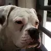 ENRIQUE MULLER - @user150443129 - TikTok