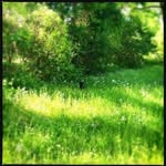 @enriquemurphy3 - Instagram