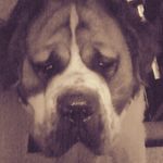 Enrique navarrete lechuga - @enriquenavarretelechuga - Instagram