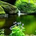 Enrique Naveda - Facebook