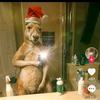 Enrique Naveda - @enrique.naveda1 - TikTok