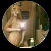 Nelson Enrique - @nelson.enrique7726 - TikTok