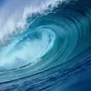 Enrique Neri - @enrique.neri1 - TikTok