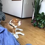 Enrique Noel Machado Pereira - @enriquenoelmachadopereira - Instagram