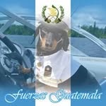Enrique Nuila - @nuilaenrique - Instagram