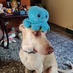 Manuel Enrique Nuila - @manuel.nuila - Instagram