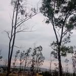 Enrique Obregon - @ingobregon80 - Instagram