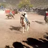 Enrique Olalde525 - @enriqueolalde - TikTok