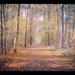Enrique Olsen - @enriqueolsen9754039 - Instagram