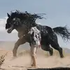enrique olsen  <3 - @scarlet.witch.1989 - TikTok