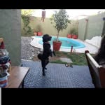 Enrique Quinteros - @enrique.quinteros.543 - Instagram