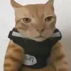 Enrique Quinteros - @enrique.quinteros95 - TikTok