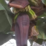 Enrique Requena - @enrique.requena.9400 - Instagram