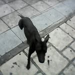 Enrique Requena - @enrique_requena - Instagram