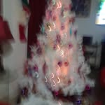 enrique silverio - @silverio9903 - Instagram