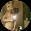Enrique Simon - @enrique.simon4 - TikTok