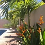 Enriques Martinezz - @enriquesmartine - Instagram