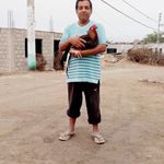 Enrique Solari Suerez - @solarisuerez - Instagram