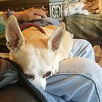 Enrique Suave - @enrique.suave.908 - Instagram