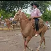 enrique 🤠🙂🐎 - @enriquezarate036 - TikTok