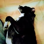Vincenzo Viola - @enzoviola67 - Instagram