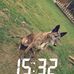 Eoghan Murphy - Facebook