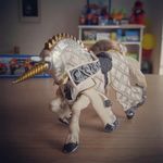 Eoin Barry - @eoinbarry - Instagram