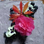 Eoin Gallagher - @gallysrecipes - Instagram