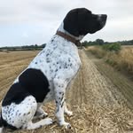 Eoin Hardy Mcgrath - @_hardymcgratheoin - Instagram