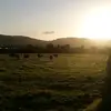 eoinmcgrath04 - @eoinmcgrath04 - TikTok