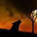 Ephraim Sherman - Facebook