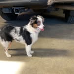 Ephraim Stoltzfus - @stoltzfus.ephraim - Instagram