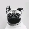 user4128733435366 - @ephraimyoung2 - TikTok
