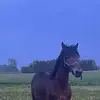 ephraimzook8 - @ephraimzook8 - TikTok