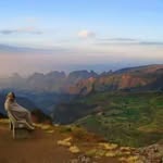 Ephrem Abebe - @epherm_ab - Instagram