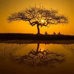 Ephrem Tadesse - @ephrem.tadesse.5817 - Instagram