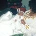 Ephrem Tulu - Facebook