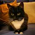 Ephram Graves - Facebook