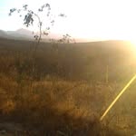 Epifanio Melendez - @epifanio.melendez.921 - Instagram