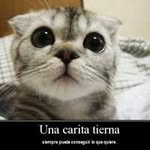 epi pedraza Ortiz - @epipedra - Instagram