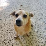 Epy Ortiz - @epiortiz1958 - Instagram