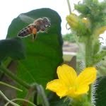 Epi Perez - @epitacio.perezperez - Instagram